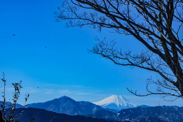 【さかぽんの大冒険】やってしまった冬山登の画像_1