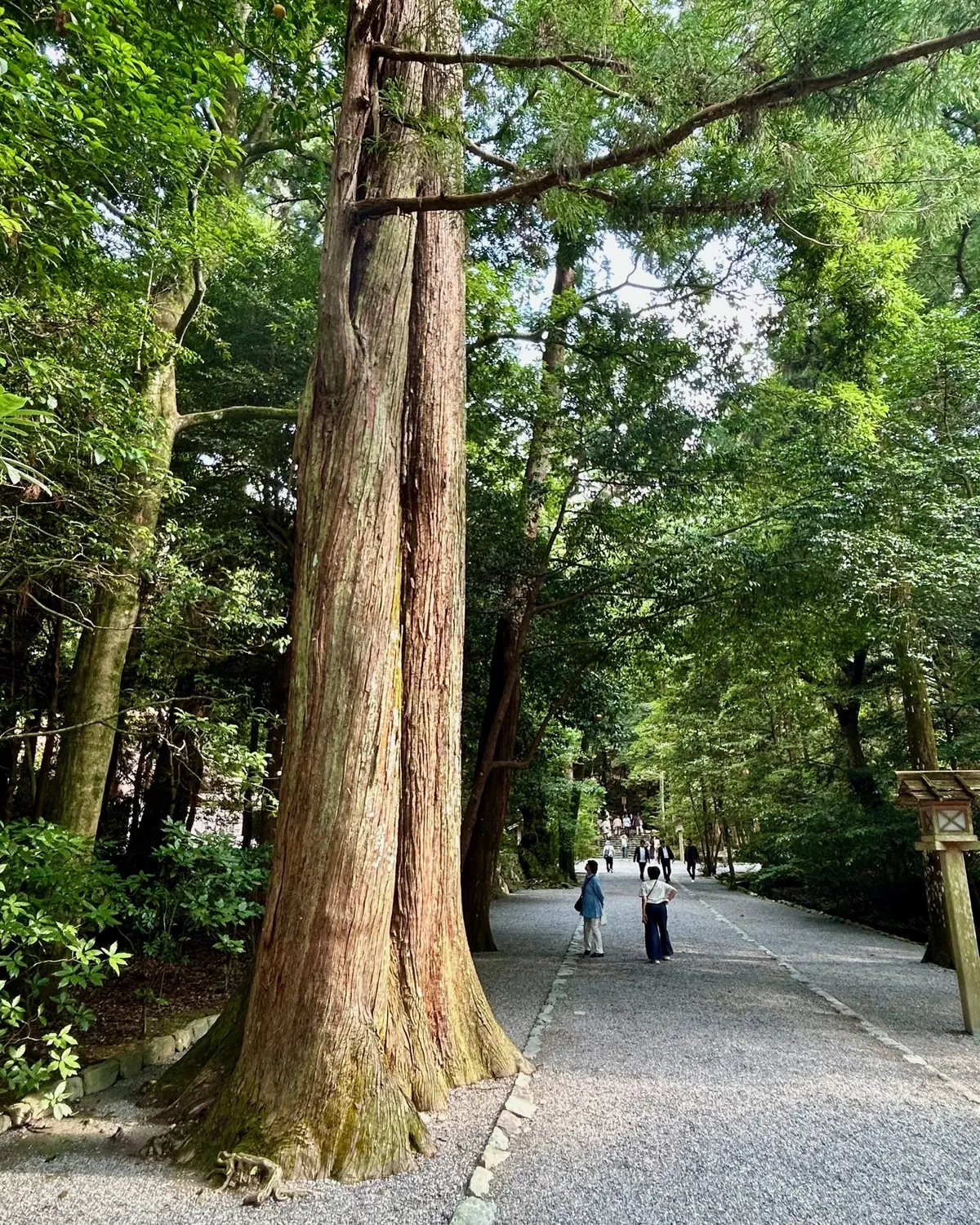 パワースポット【伊勢神宮】を巡る2日間①の画像_10