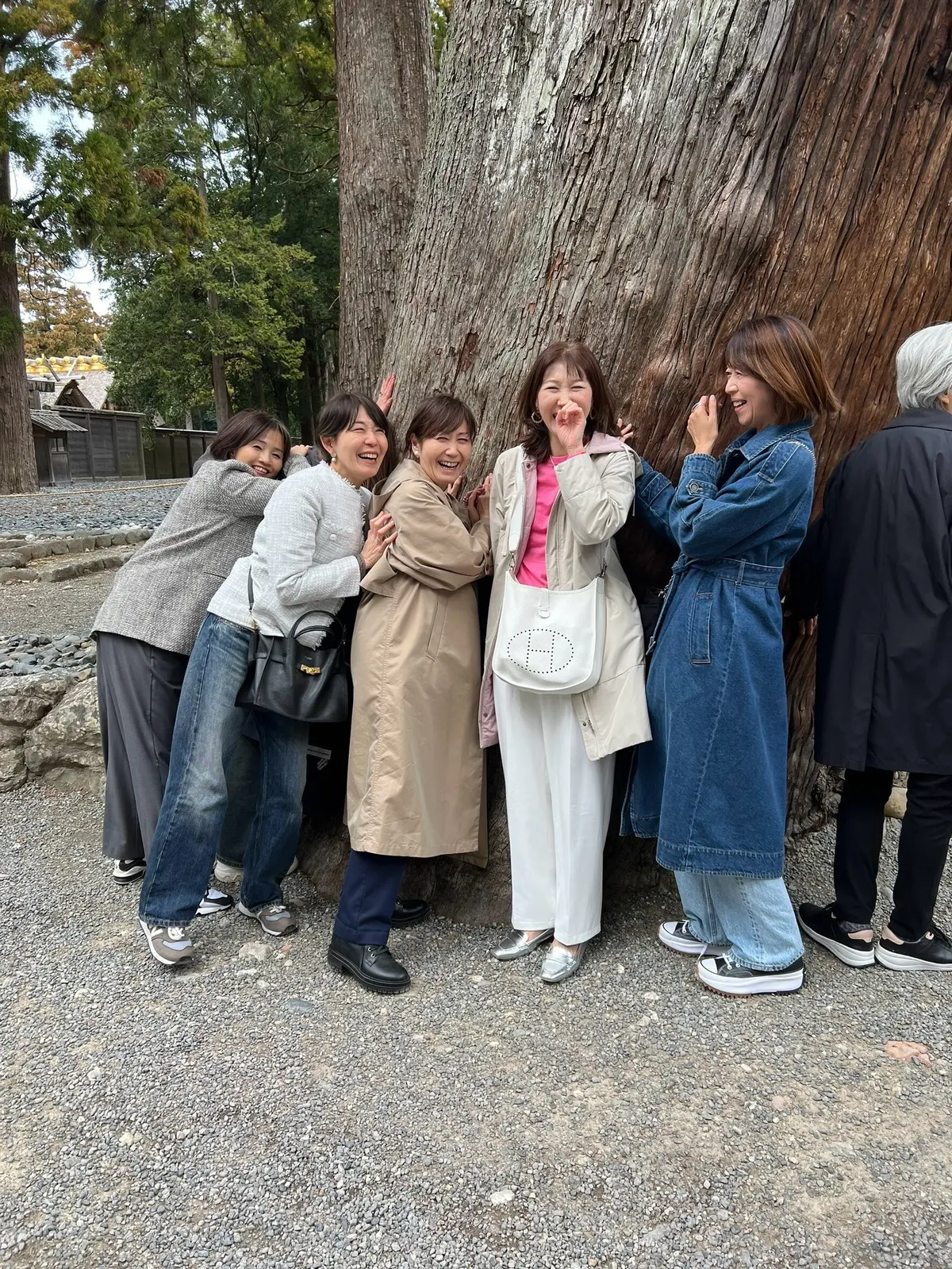 パワーをもらう