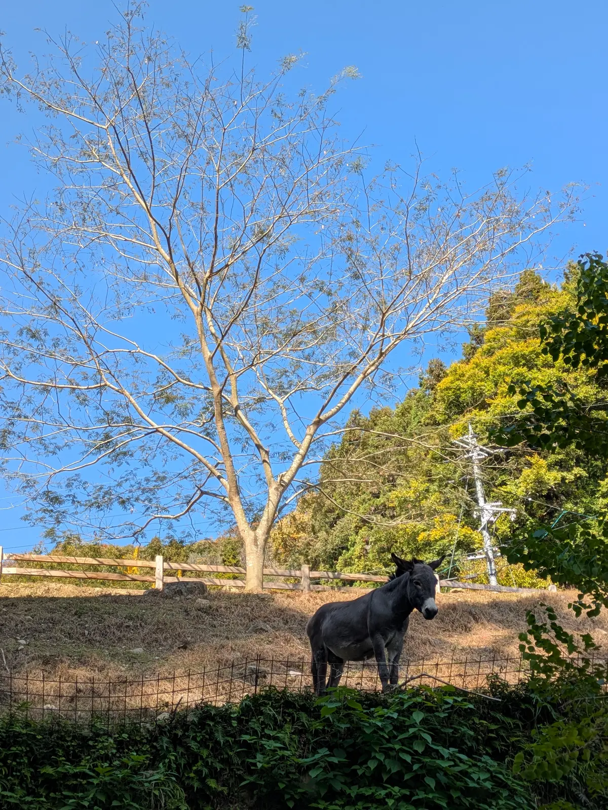 森の中の小さなパン屋さんでブランチデートの画像_10