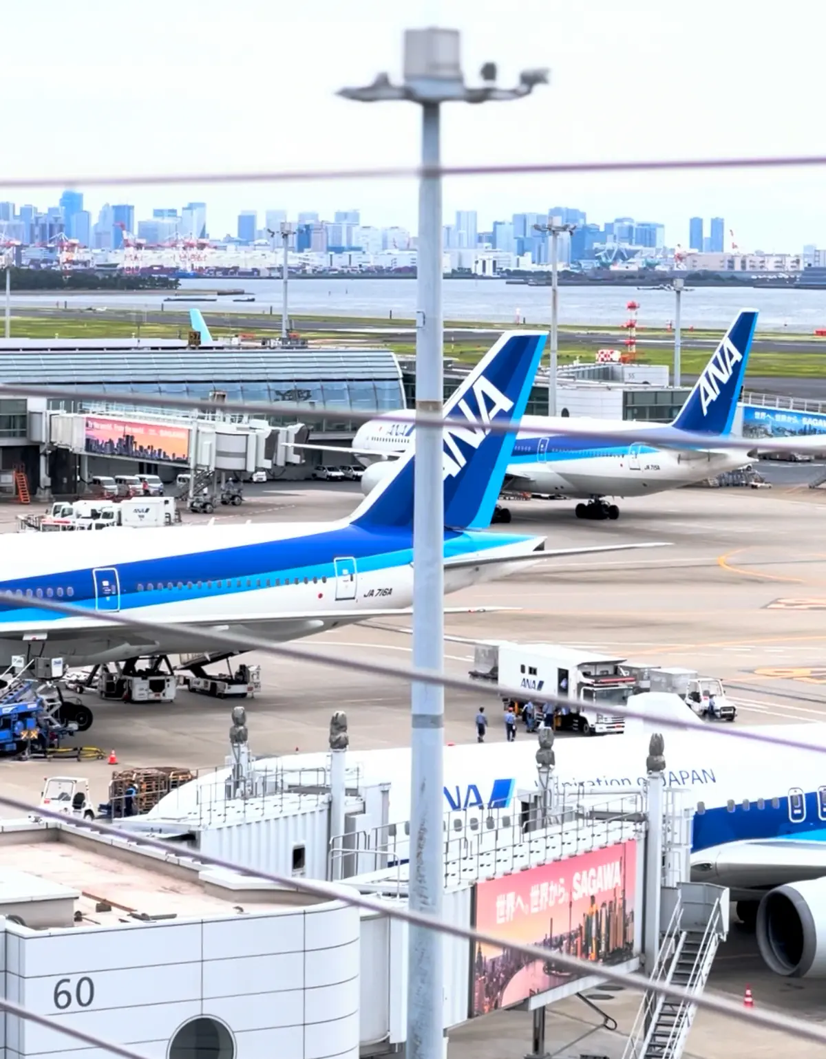 【さかぽんの冒険】ジェット✈️ジェット🛩の画像_1