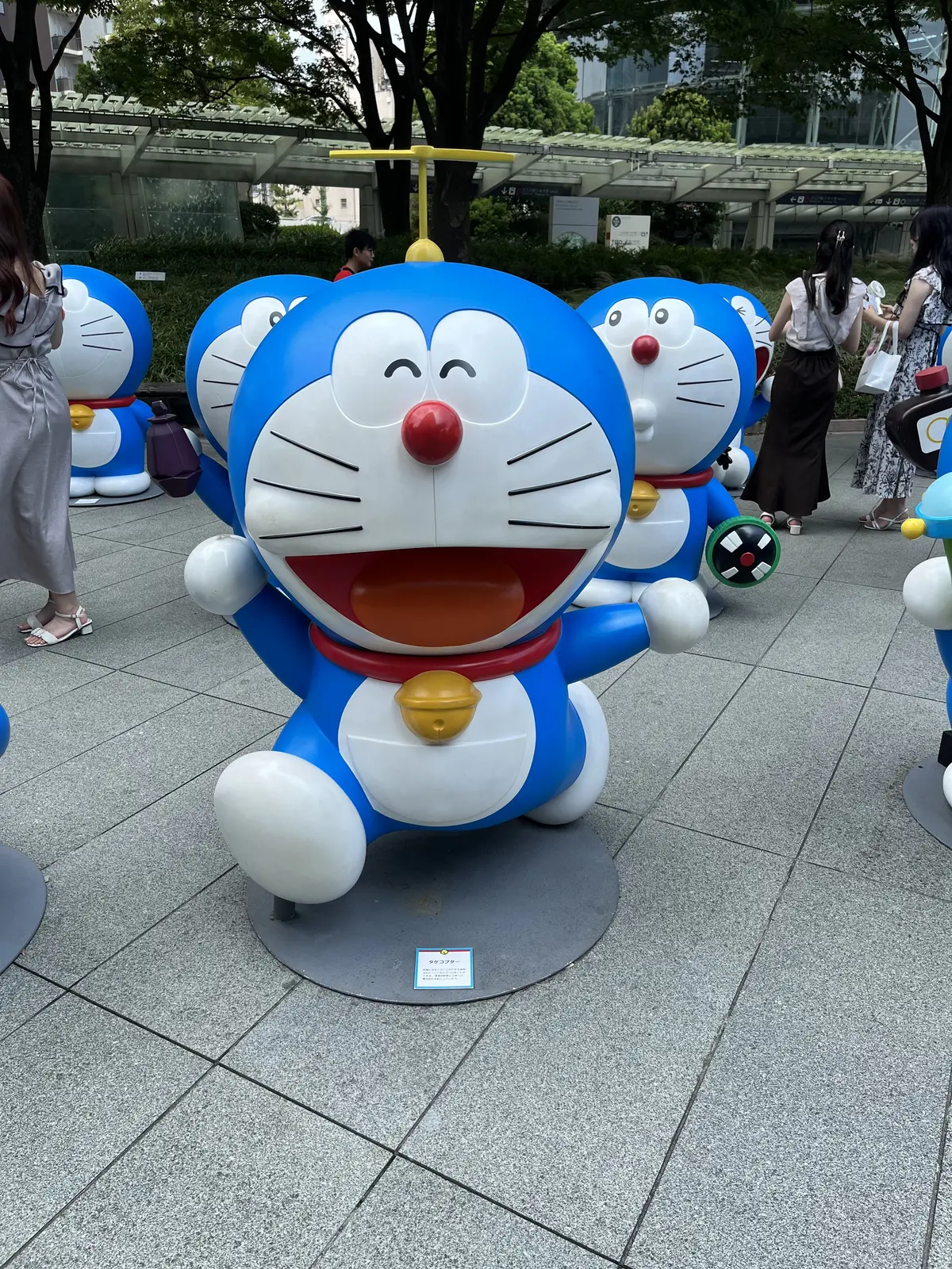 アフリカローズに囲まれての画像_2