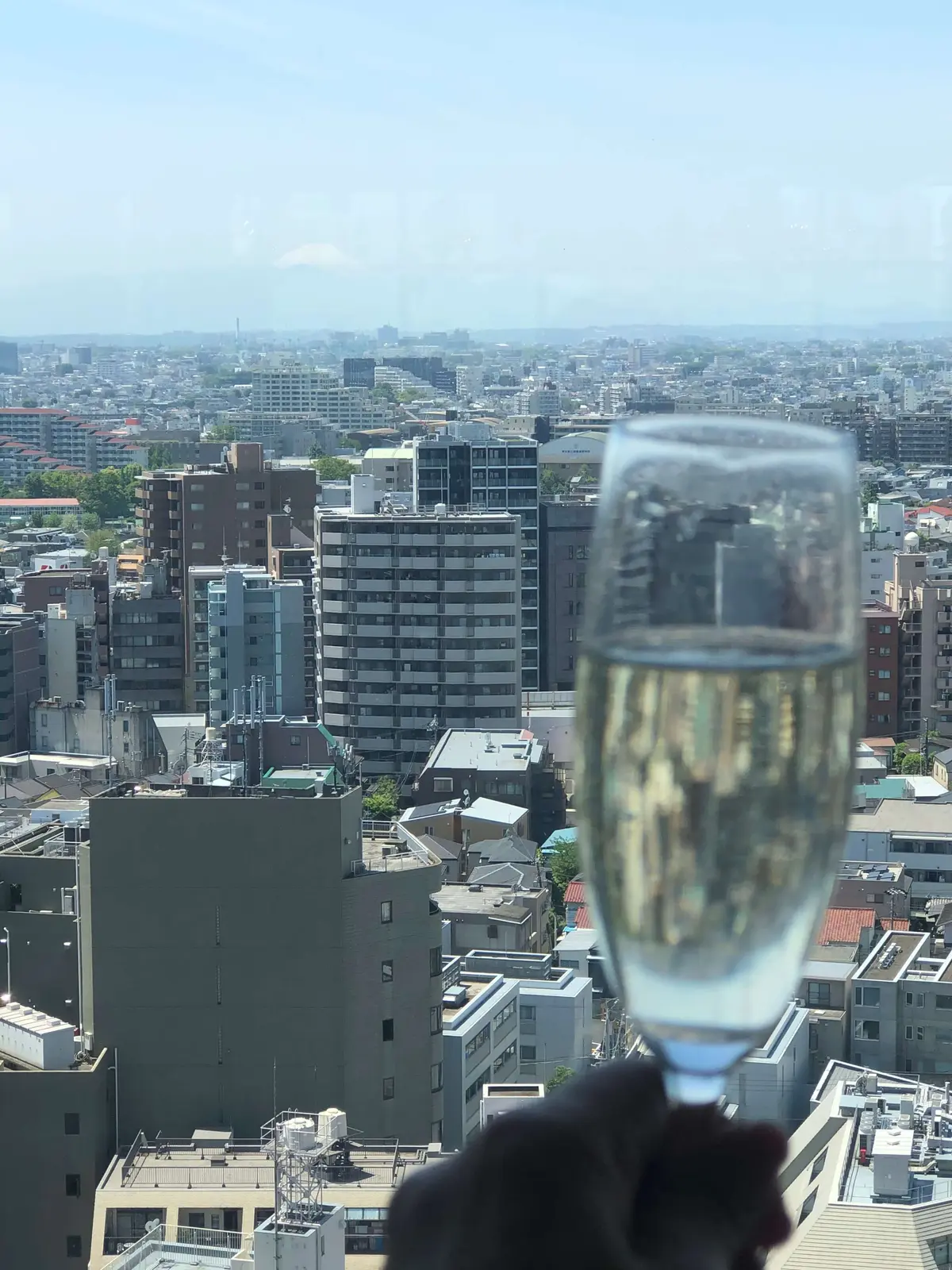 15階からの眺めのいい景色。この日はラッキーにも富士山が見えています。