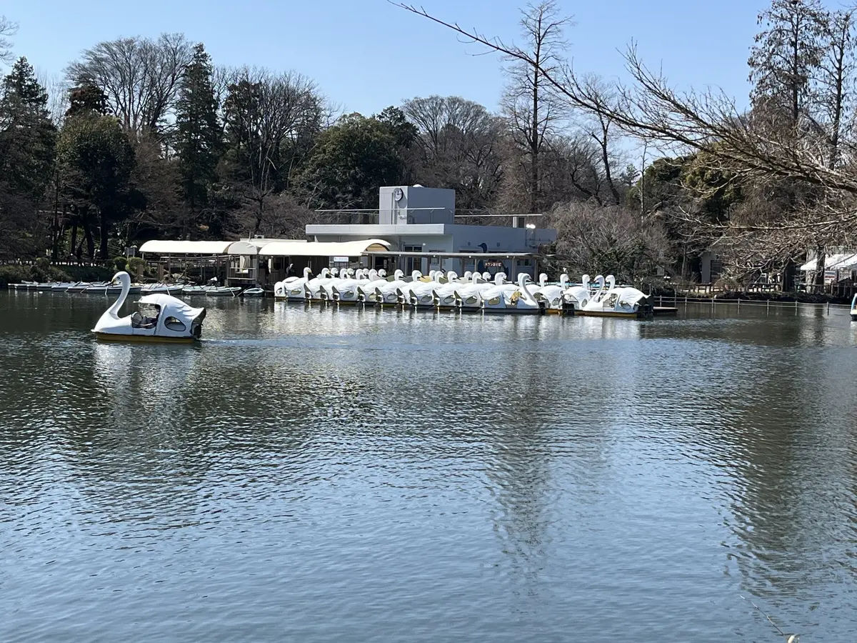 リクエストは〝桜と蘭〟の画像_4