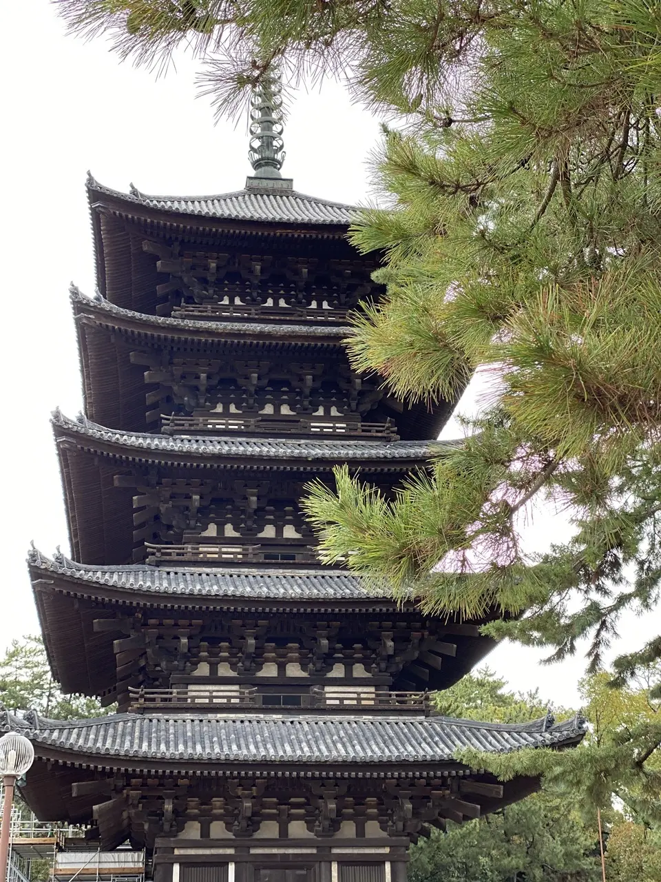 興福寺の五重塔