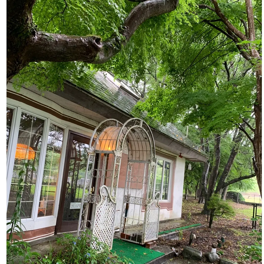 雨の日ドライブの画像_1