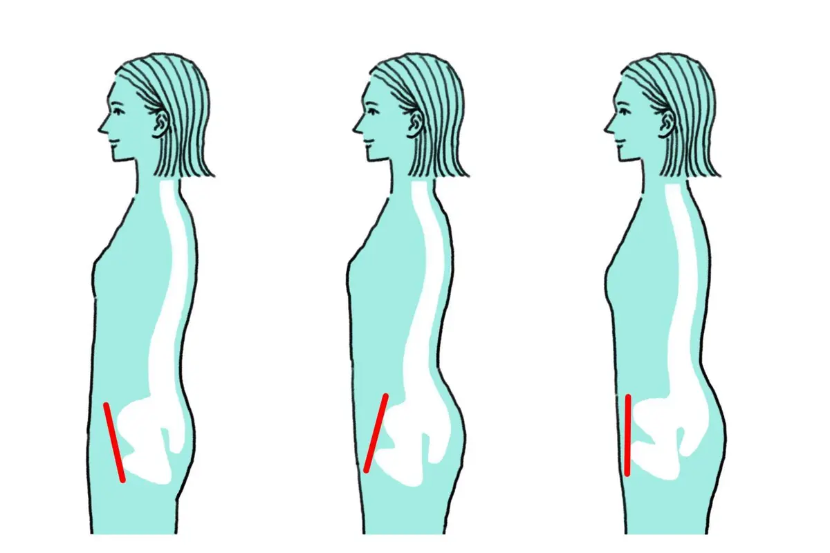 OurAge×Webエクラ  骨盤の位置