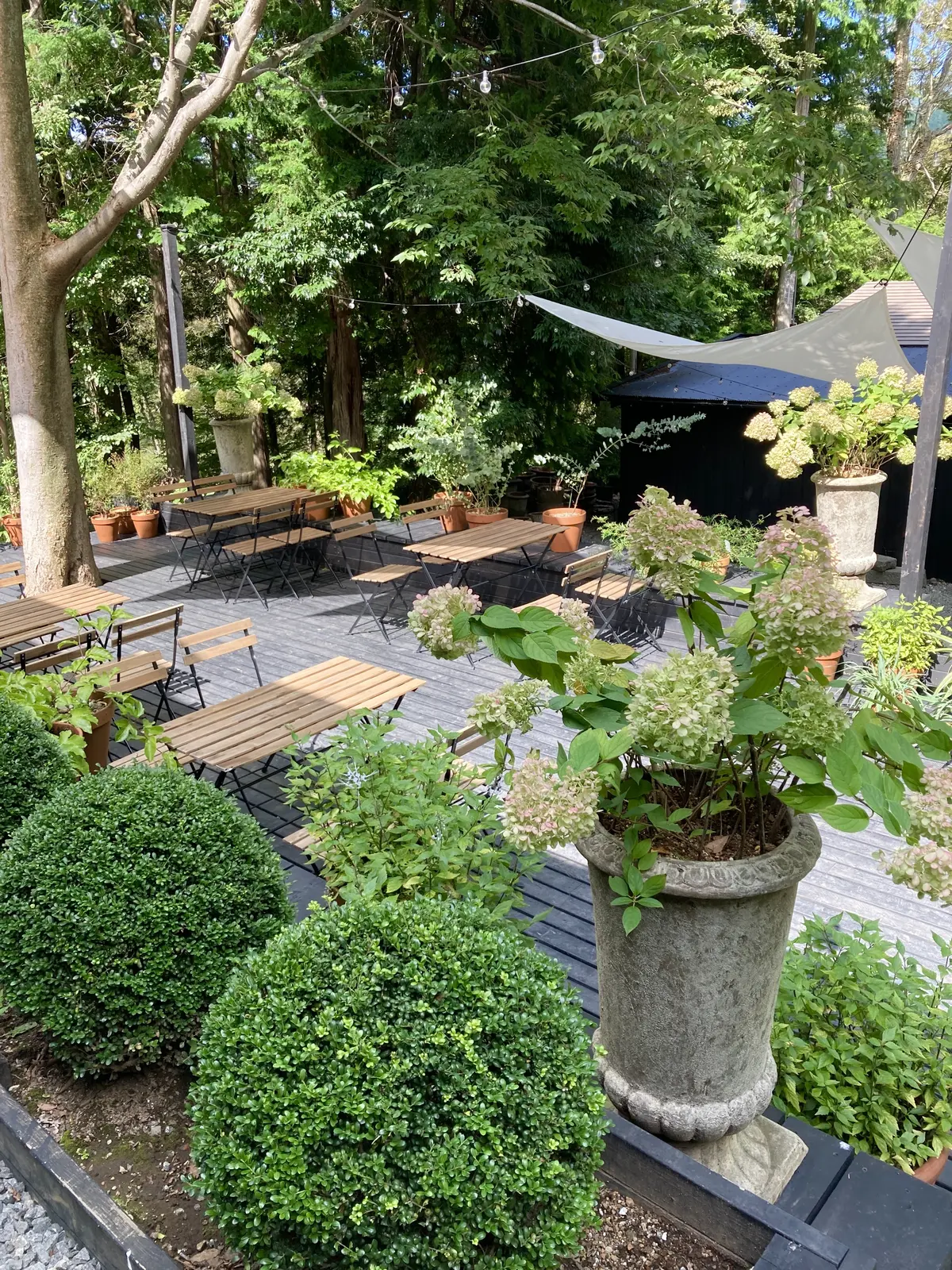 エントランスの写真