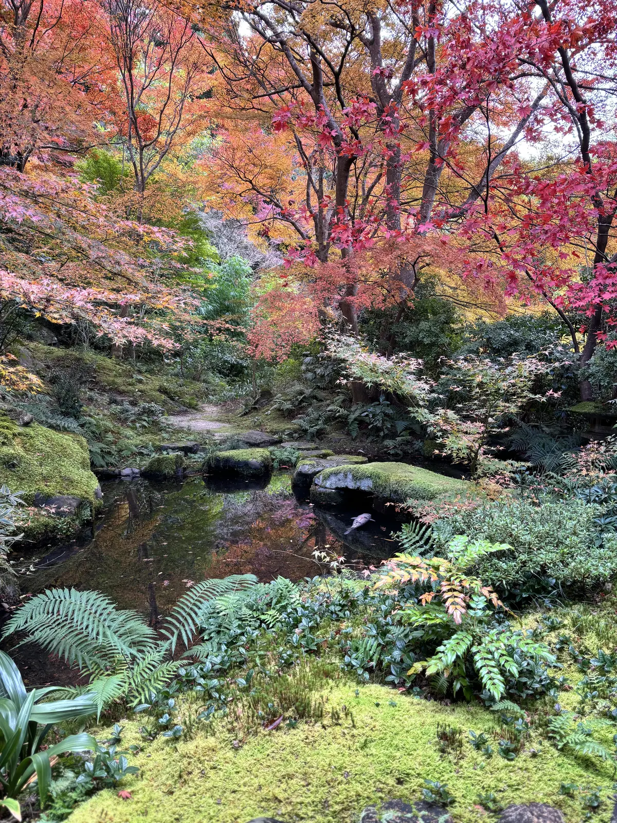 京都　八瀬　瑠璃光院