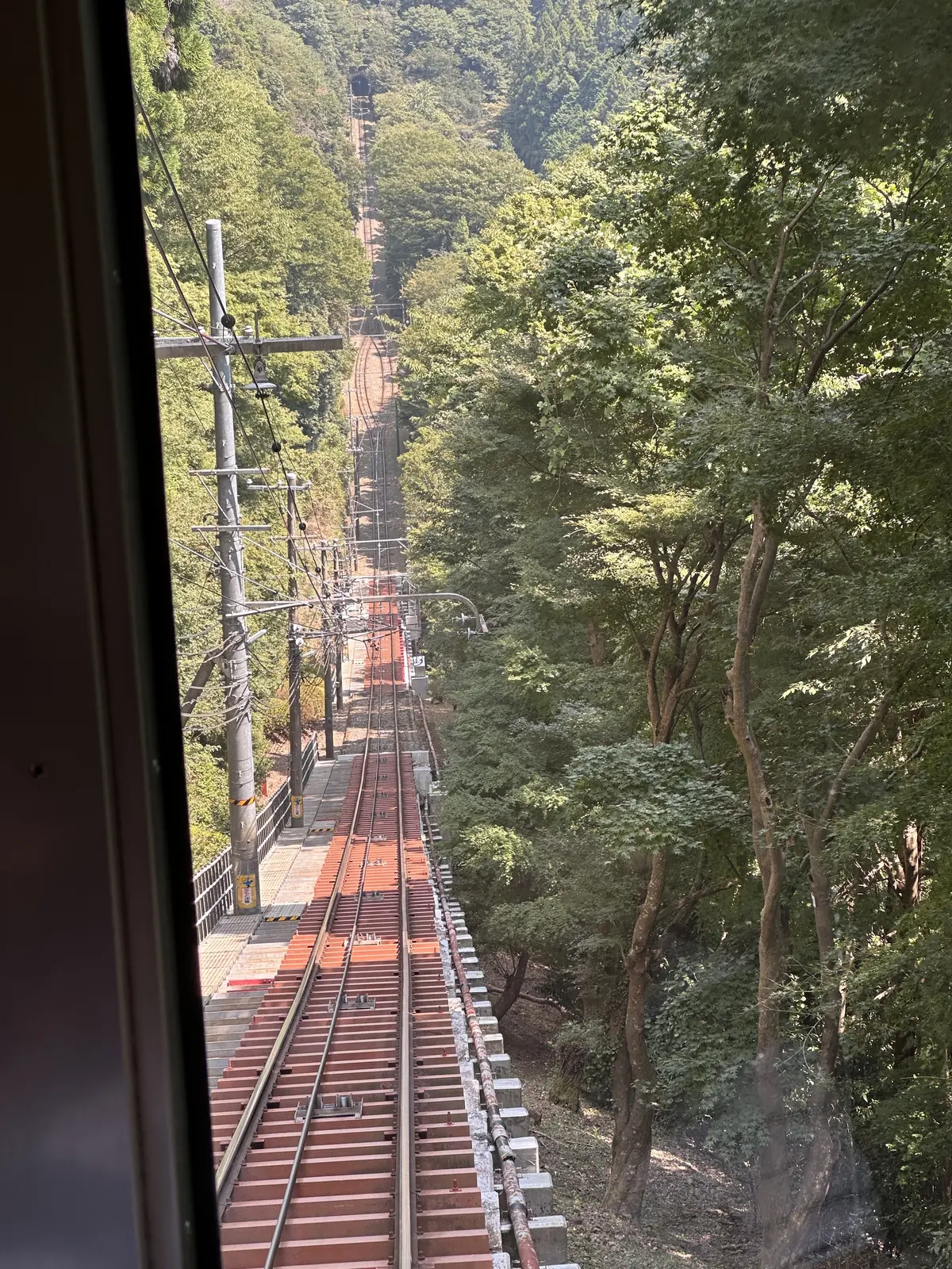 親子三代で行くはとバスツアーと真夏の高尾の画像_22