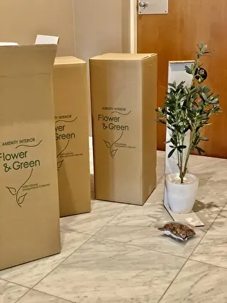 フェイクグリーン