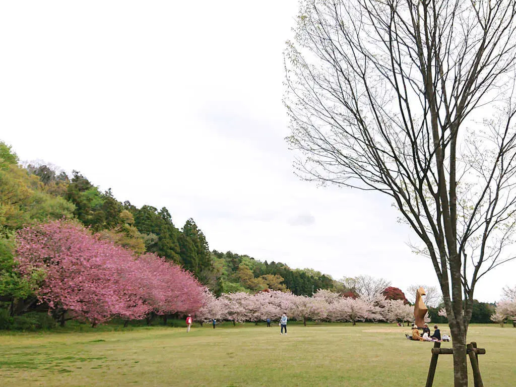 お気に入りのピクニックバスケットで一足遅の画像_2