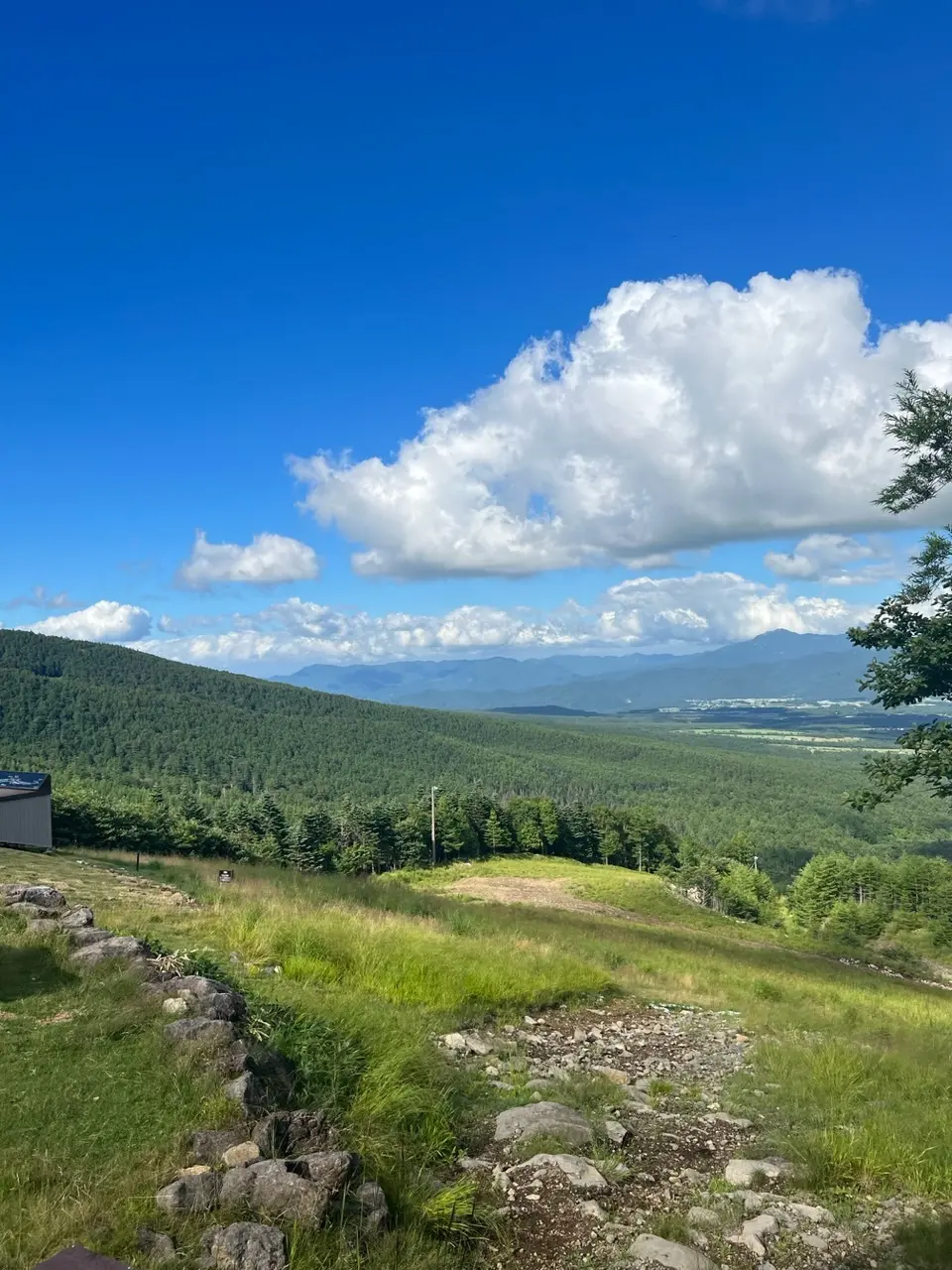 日帰りドライブ♪初めての清里の画像_15