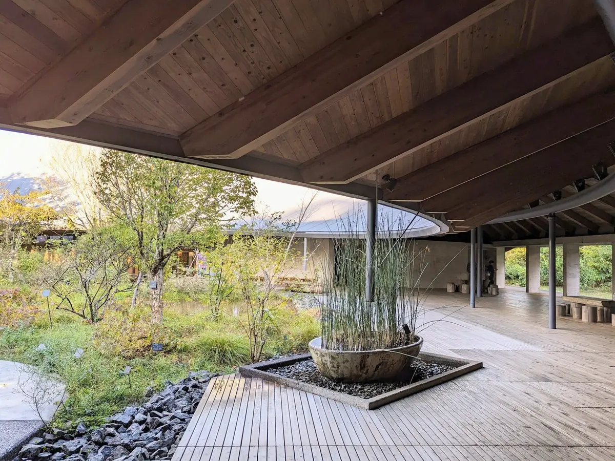 高知やき！ 盛り沢山な大人女子旅になったの画像_3