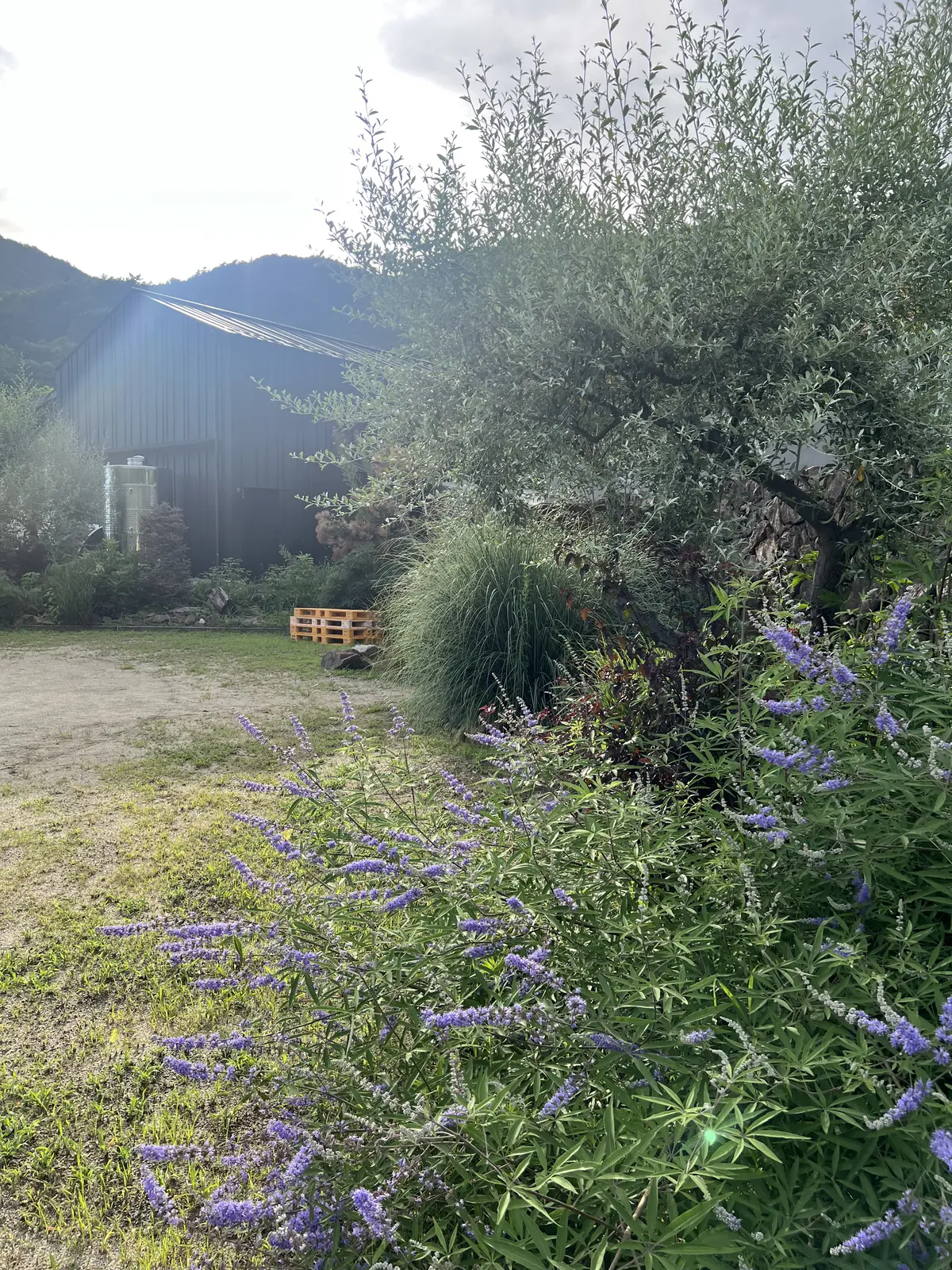 素敵なワインツーリズム体験＠98WINEの画像_16