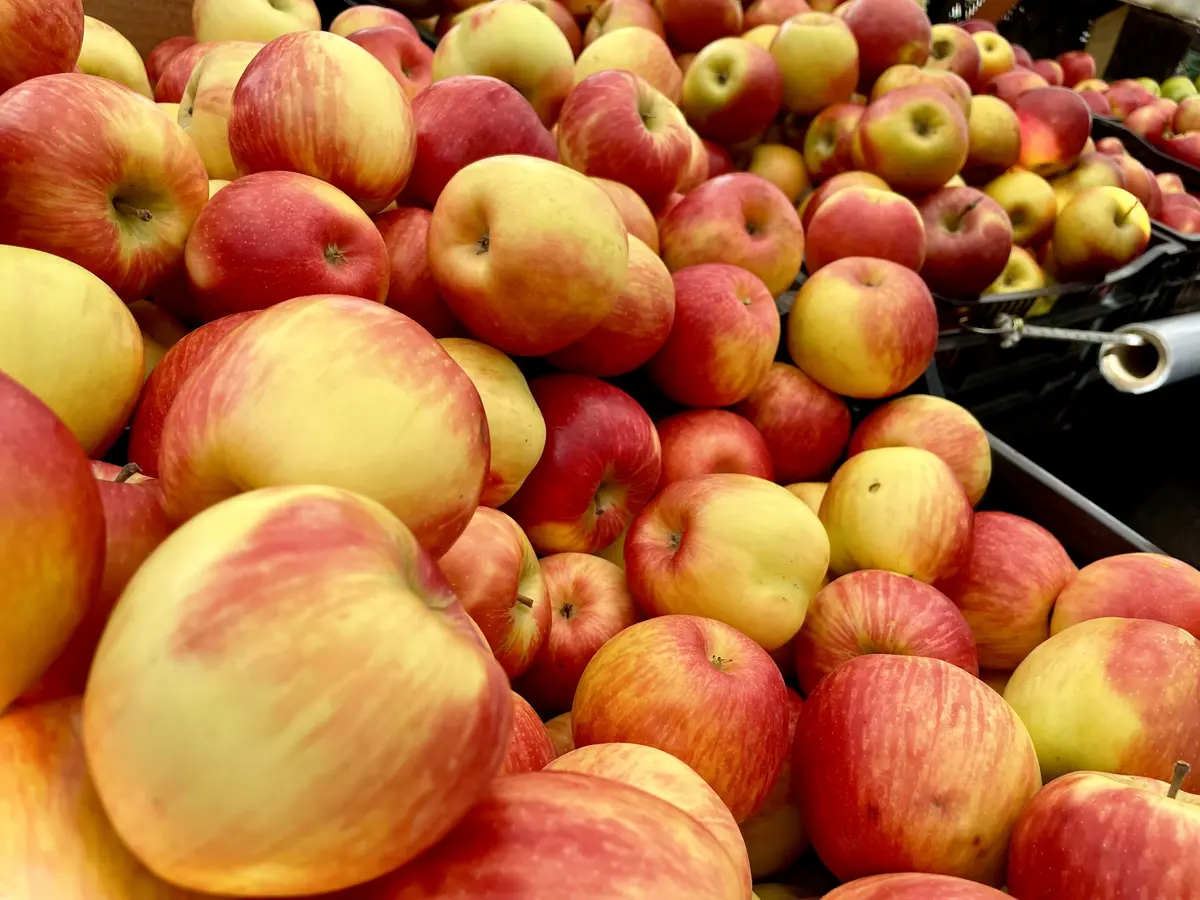 ファーストクラスで行く☆ニューヨークの旅の画像_25