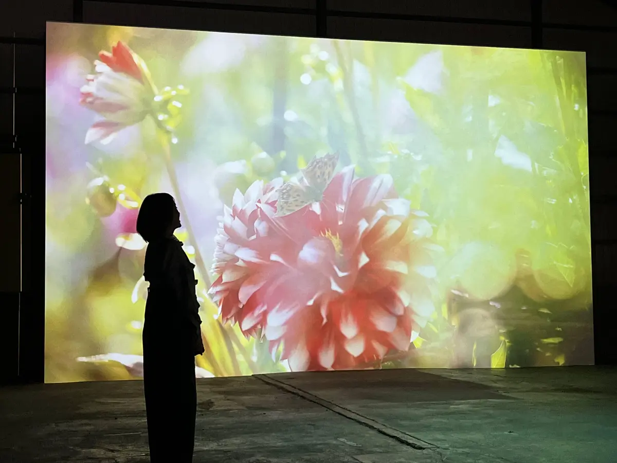 『蜷川実花展 with EiM Lighの画像_1