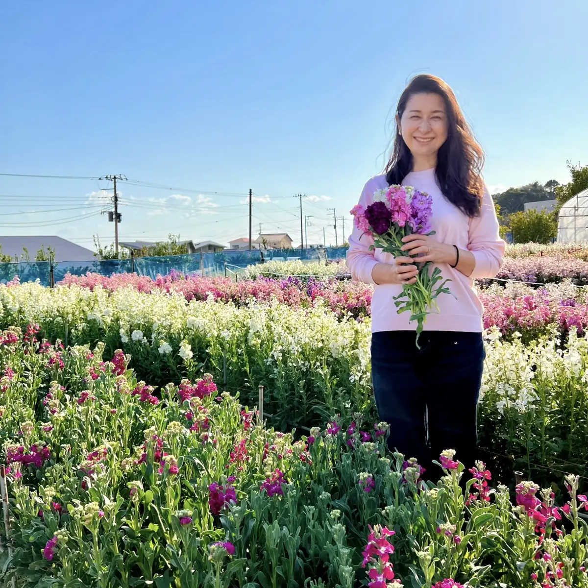 春のお出かけ♪南房総へ花摘みに行ったら最の画像_17