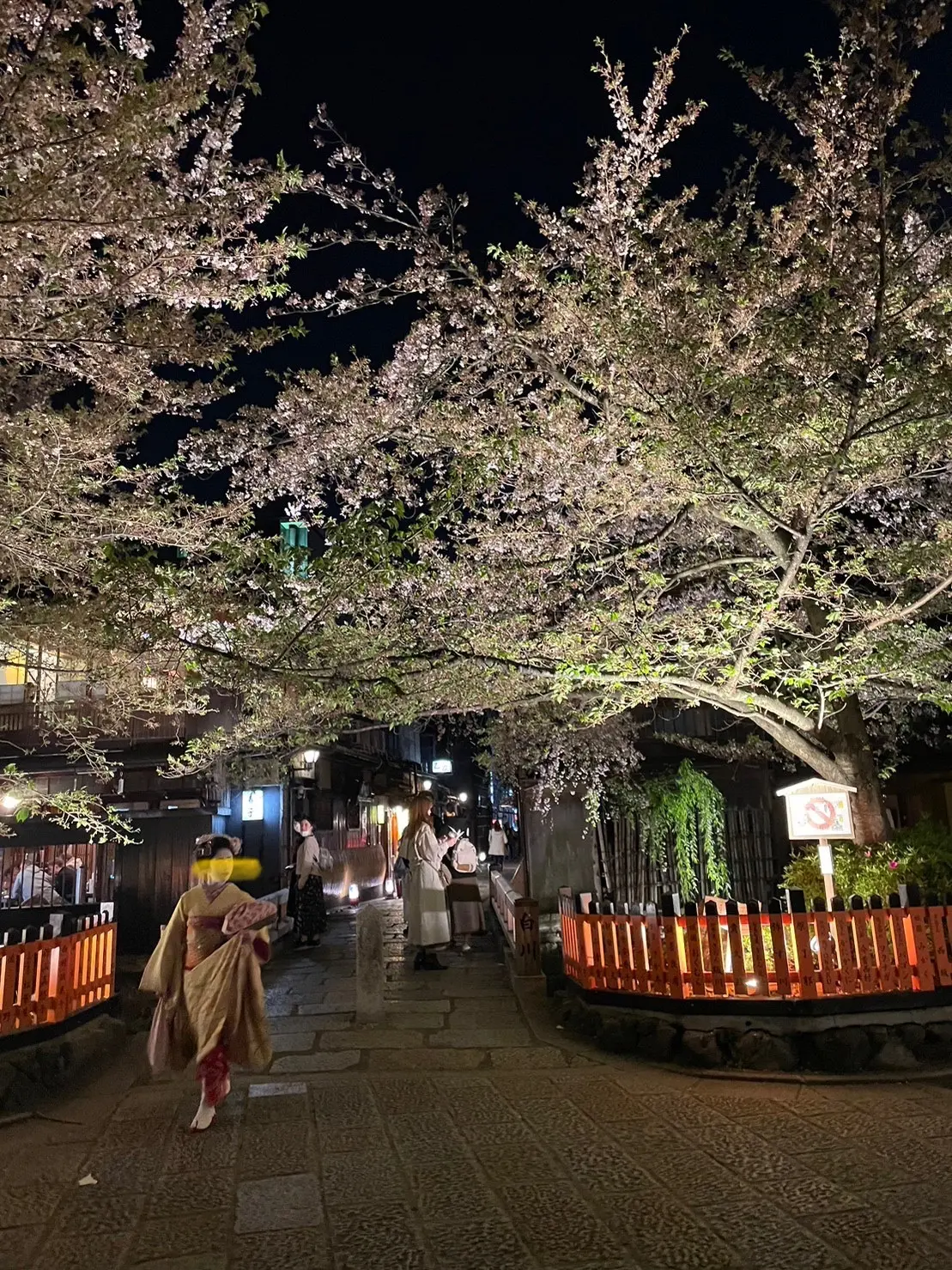 1枚で決まる華やかプリントワンピースと初の画像_7