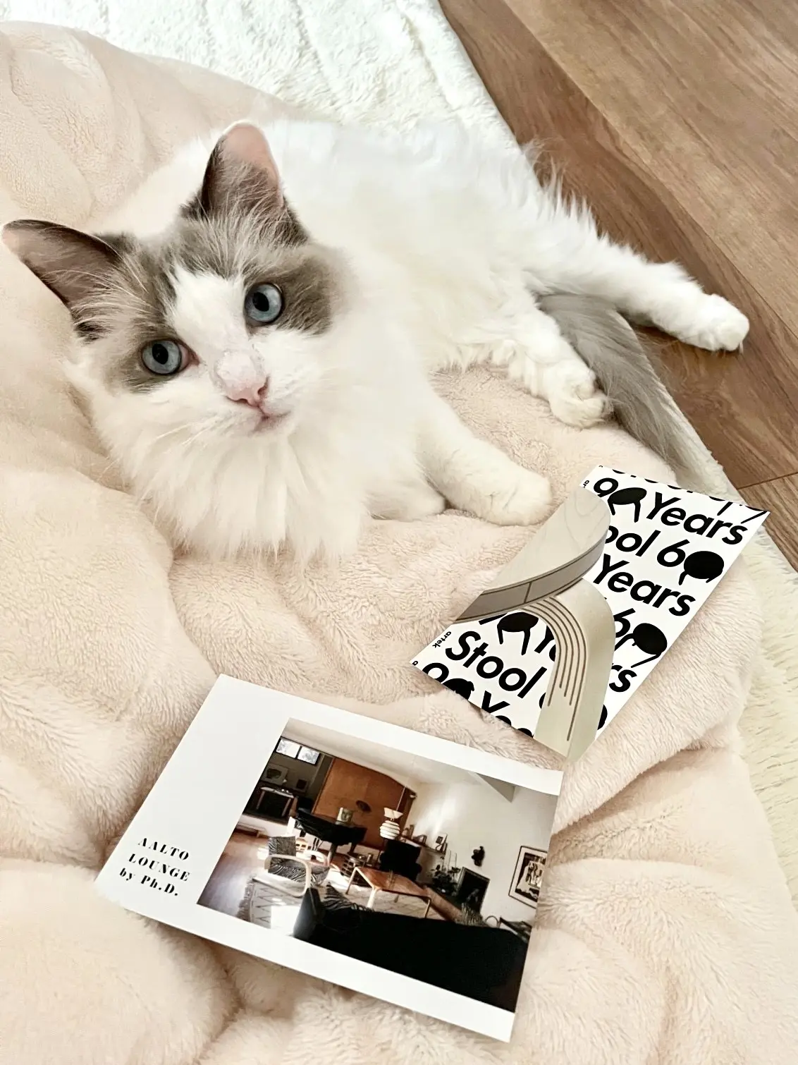 上の子?とアアルトポストカード