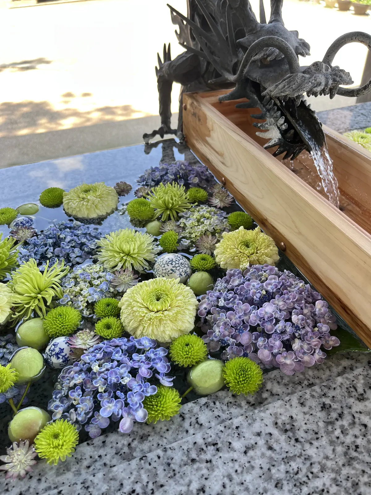 茅の輪くぐりと楽しみにしていたライブの画像_3