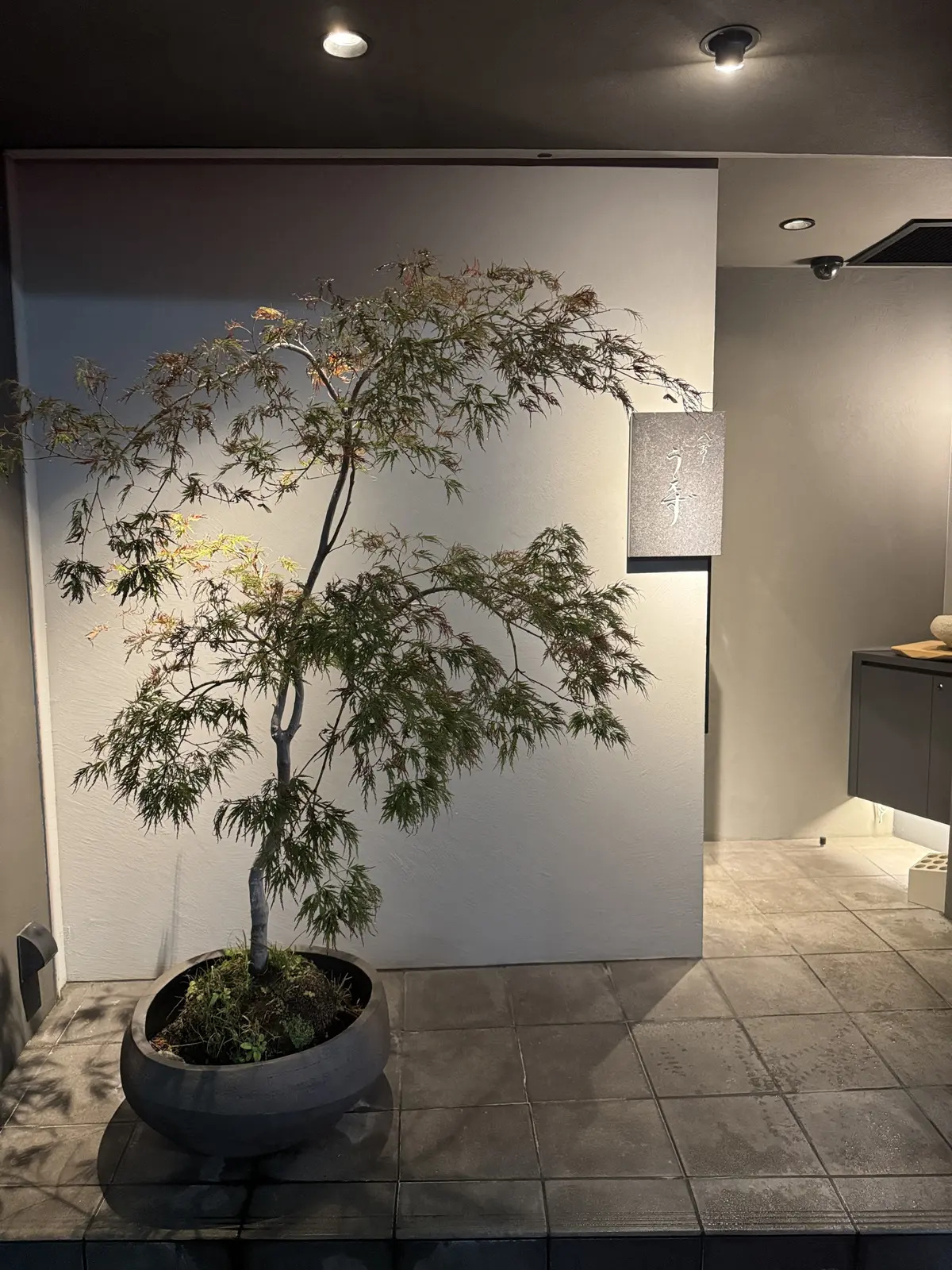 ZARAのロマンチックリブニットセーターの画像_2