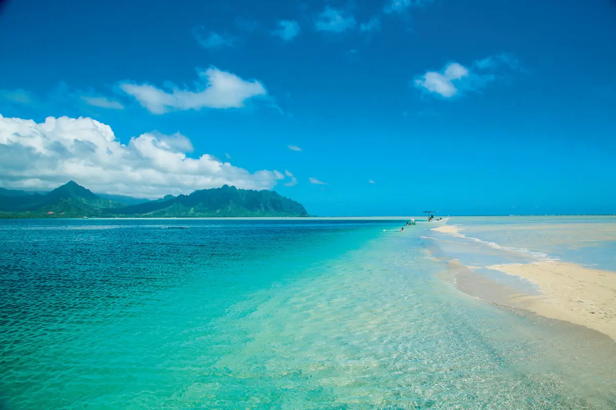 親も自分も疲れない。親孝行のハワイ旅のんの画像_1