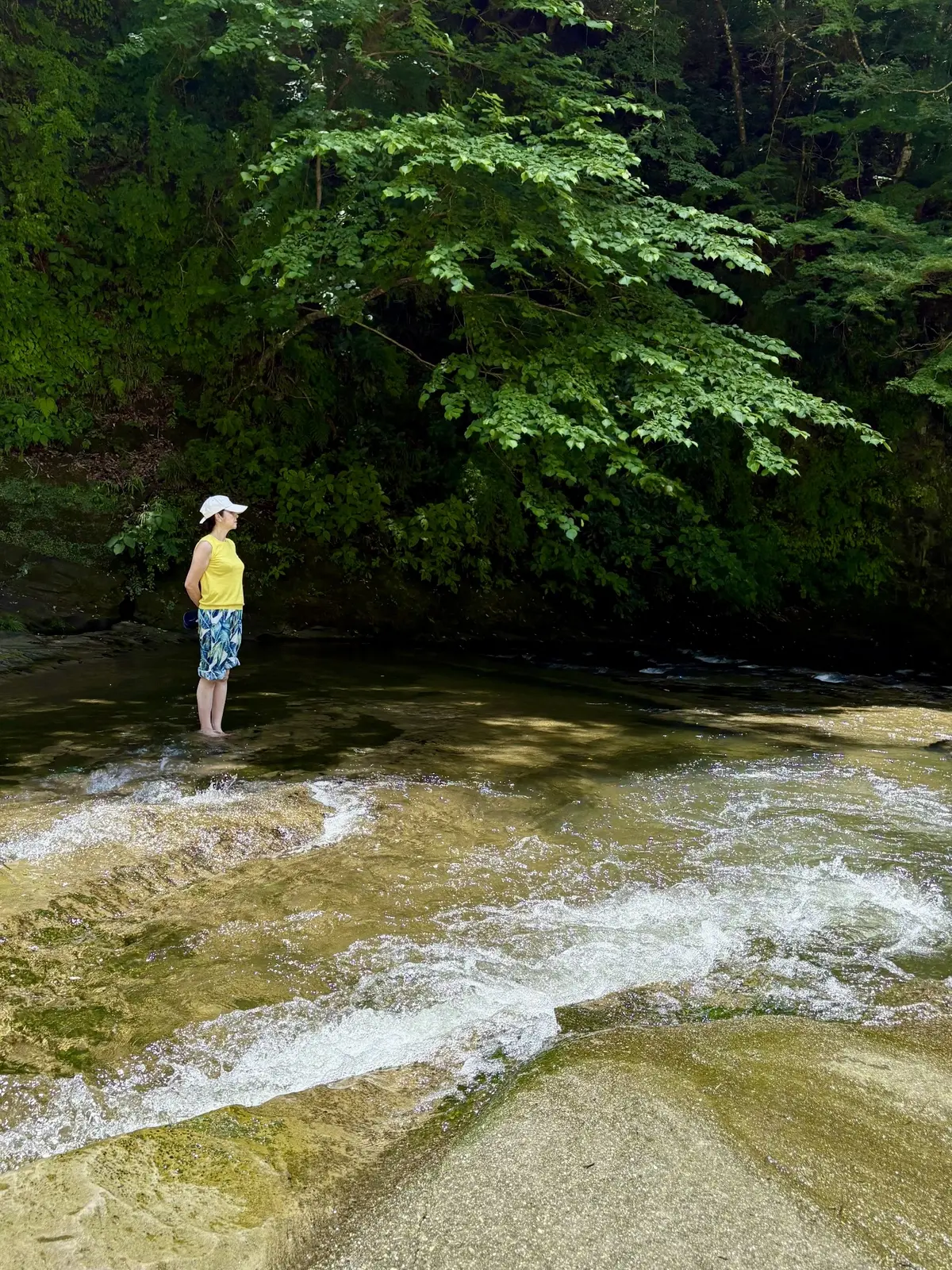 千葉県　観光名所　養老渓谷　滝　粟又の滝　川　水のある風景　川で涼む