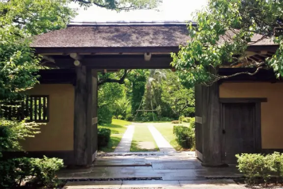 センスがいい花好きがレコメンド“日本全国の画像_10