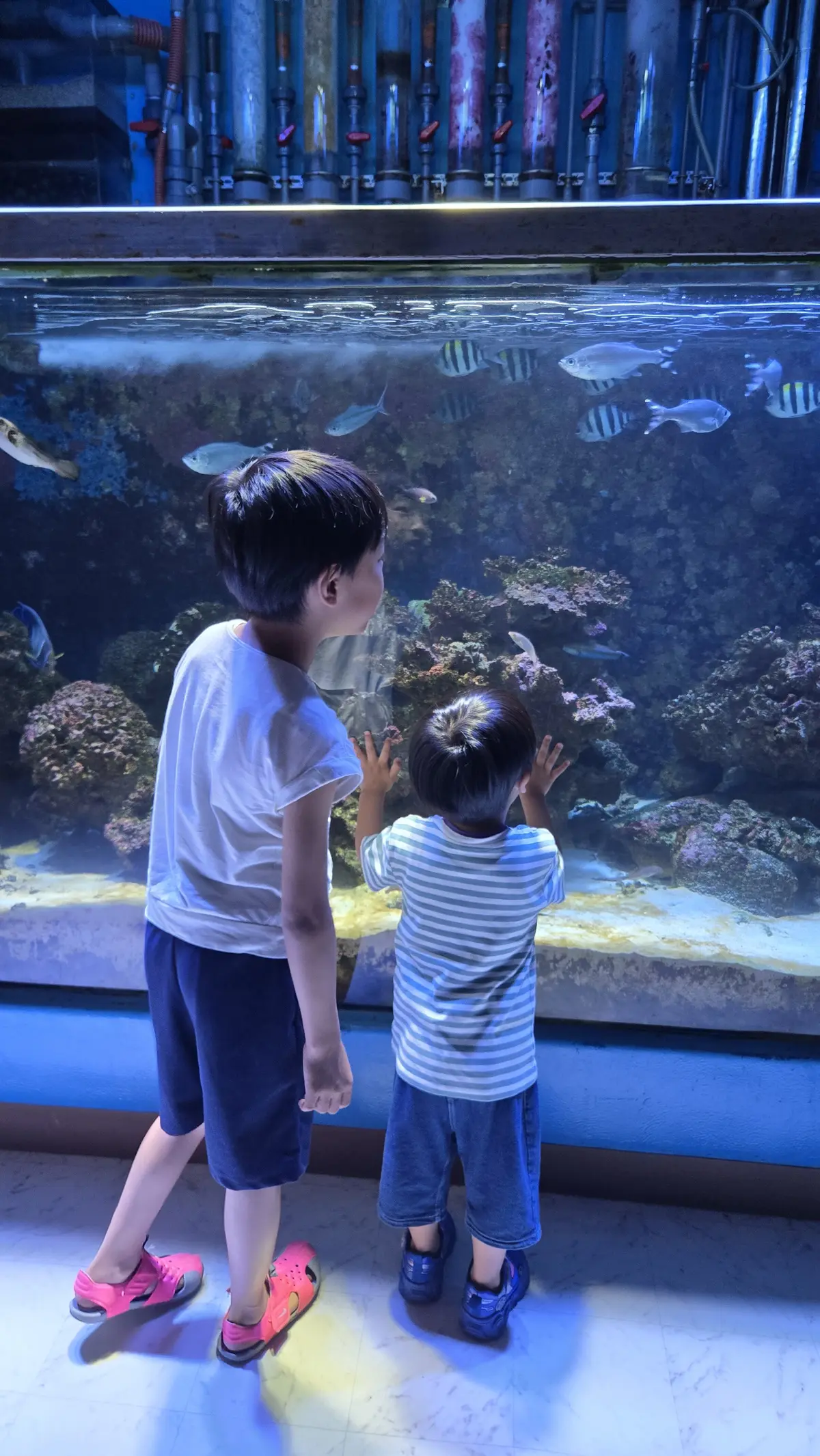 和歌山県立自然博物館