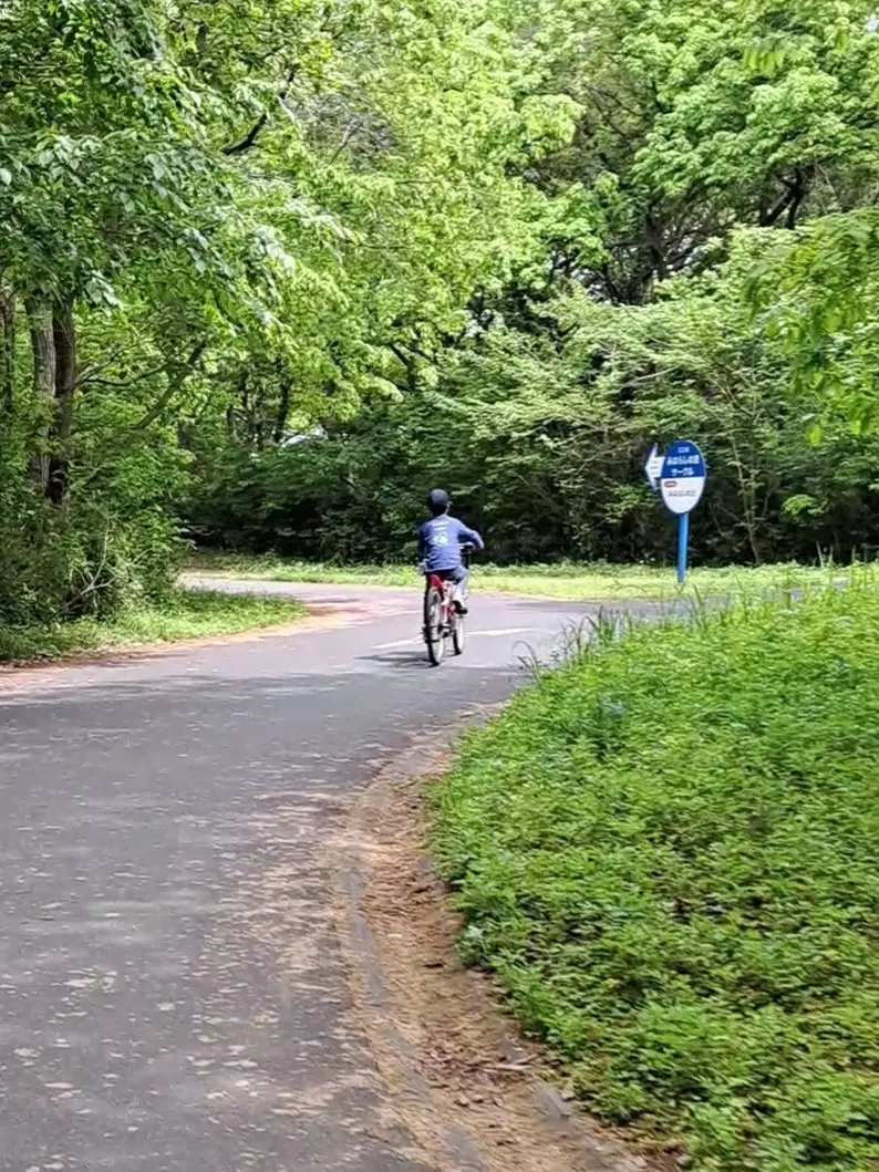 一度は見たい絶景～ひたち海浜公園のネモフの画像_10