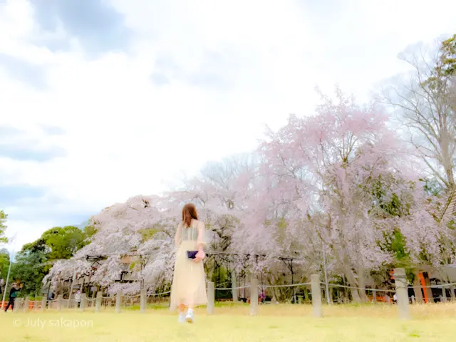 【さかぽんの冒険】前編☆もえぎ色の京都旅の画像_10