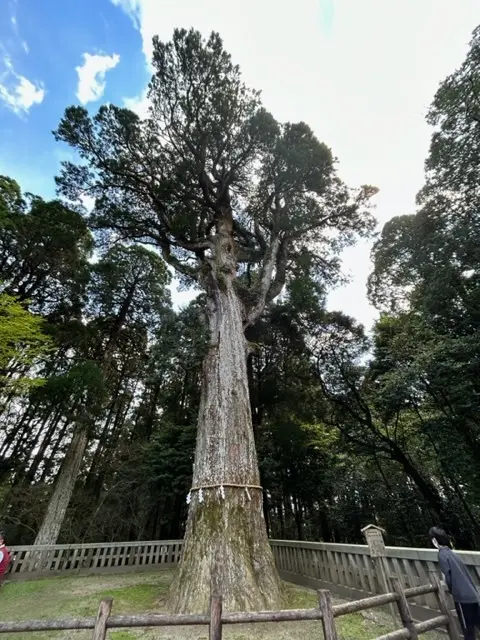 霧島温泉で束の間の非日常をの画像_11