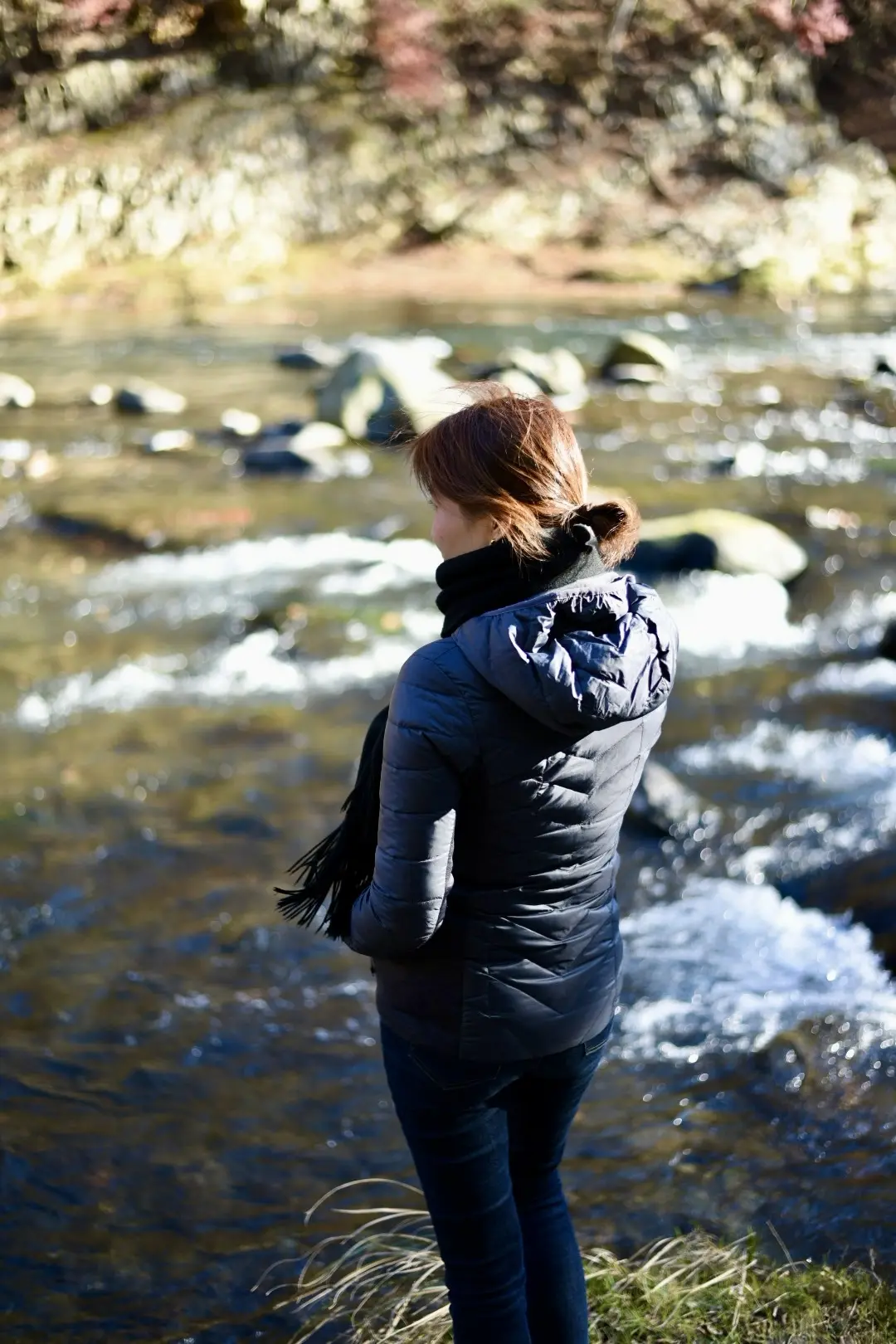 那須高原を東奔西走とおまけに仙台への画像_33