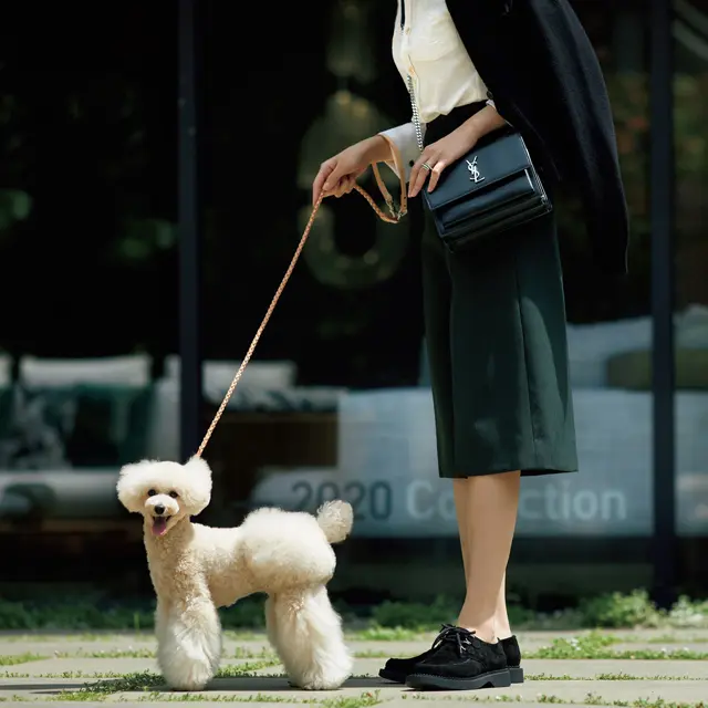 SAINT LAURENT《サンローラン》