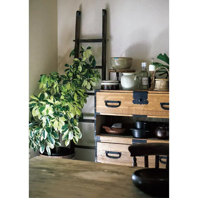 二世帯に住み替えしたサルボ恭子さんのお住まい