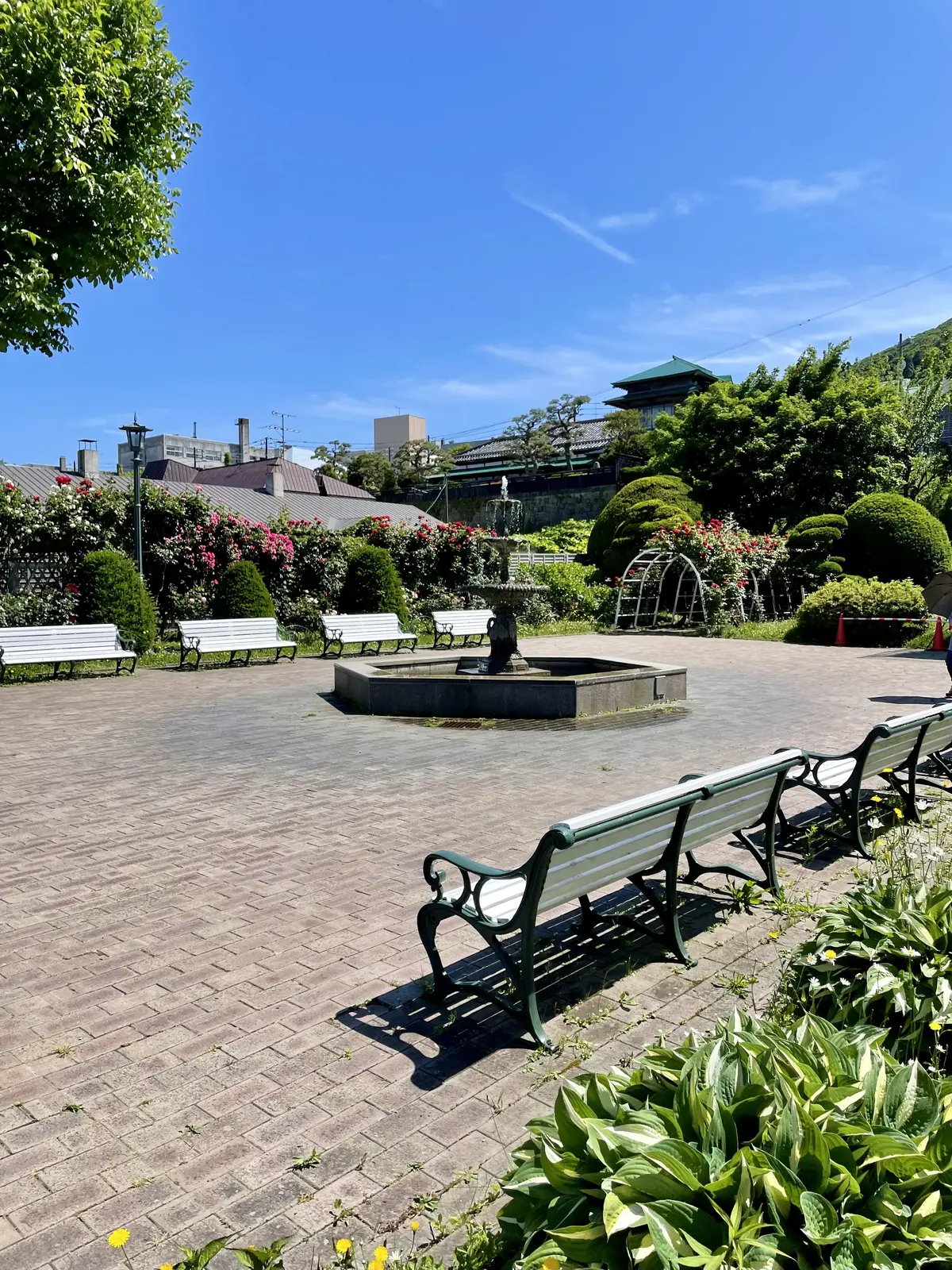 イギリス領事館、函館、北海道、庭園、バラの庭園、噴水、お花、薔薇、ベンチ