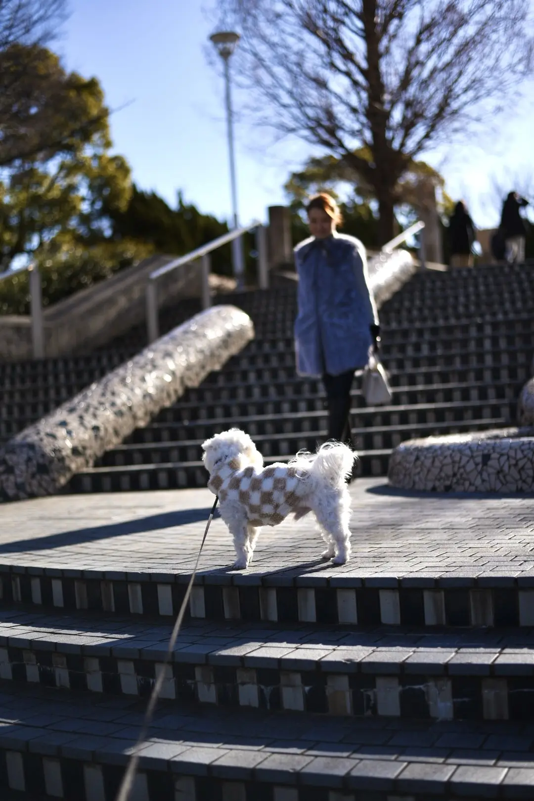 ヘルノファージレで山下公園への画像_8