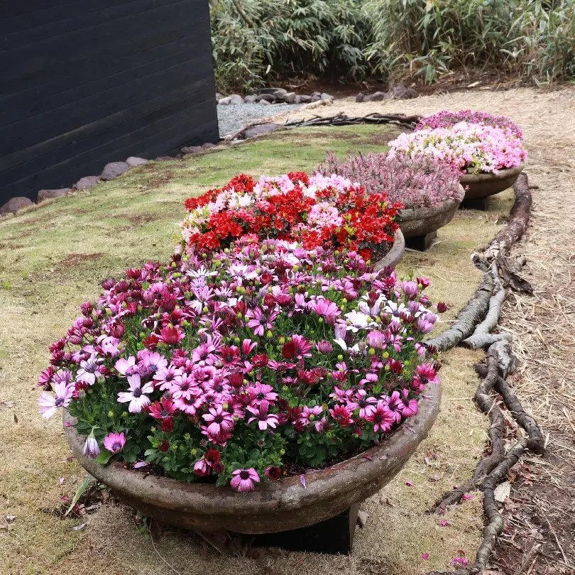 メインストリート