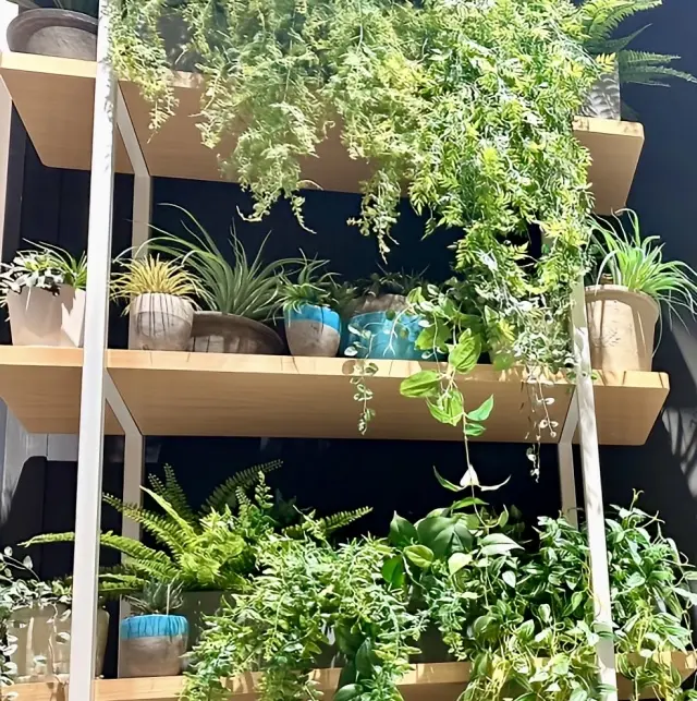 夏の夜涼しくなって、秋物のブラックのニッの画像_2