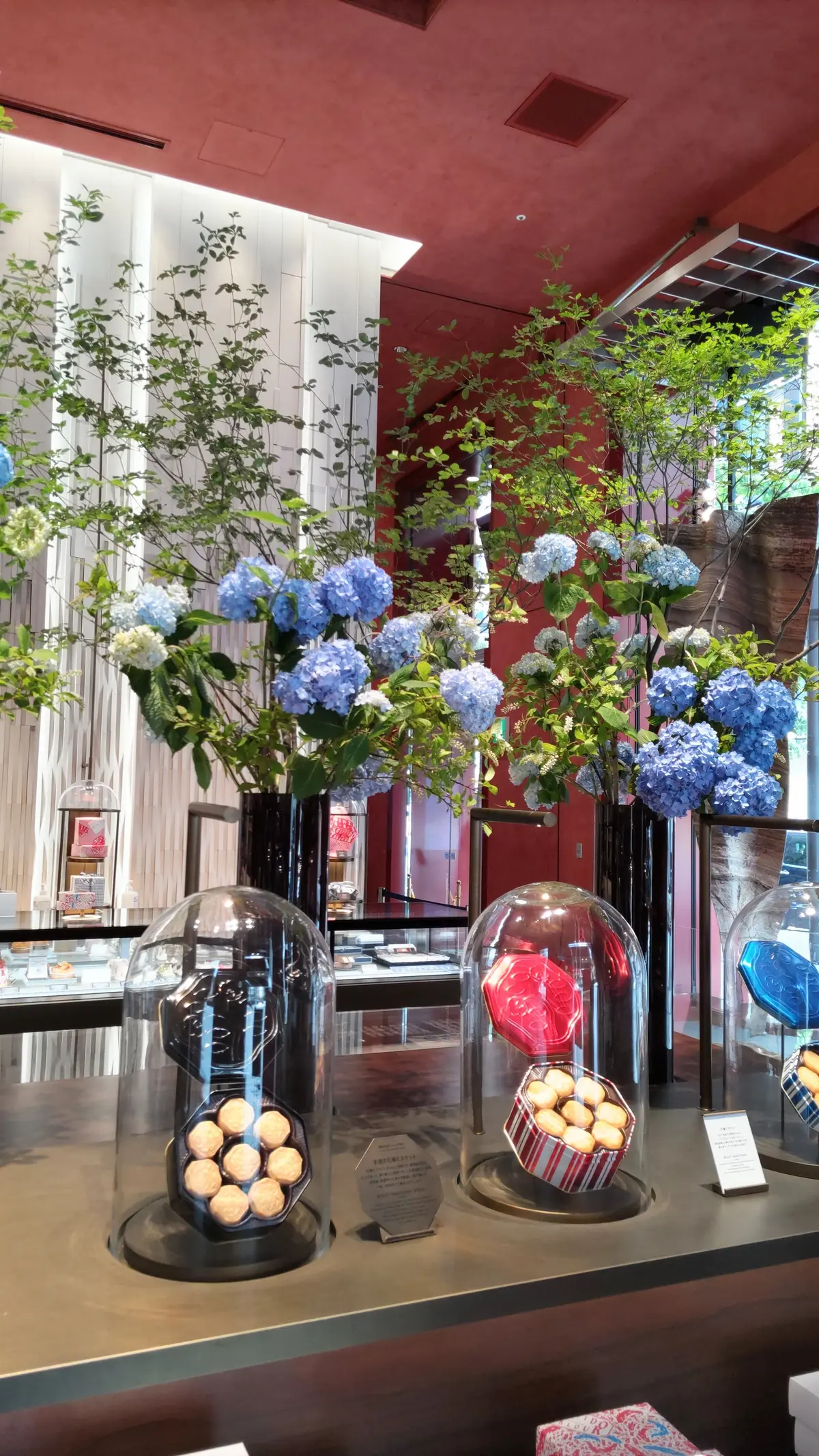 『資生堂パーラー物語』の画像_6