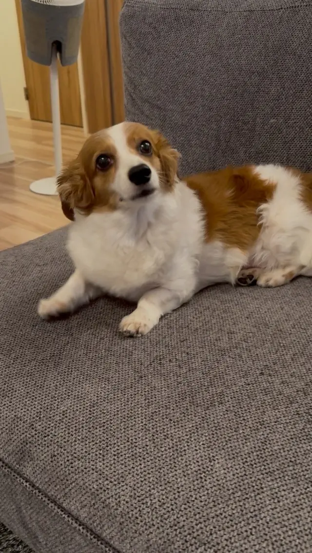 東京滞在3日目、素敵なご縁とおしゃれな空の画像_13