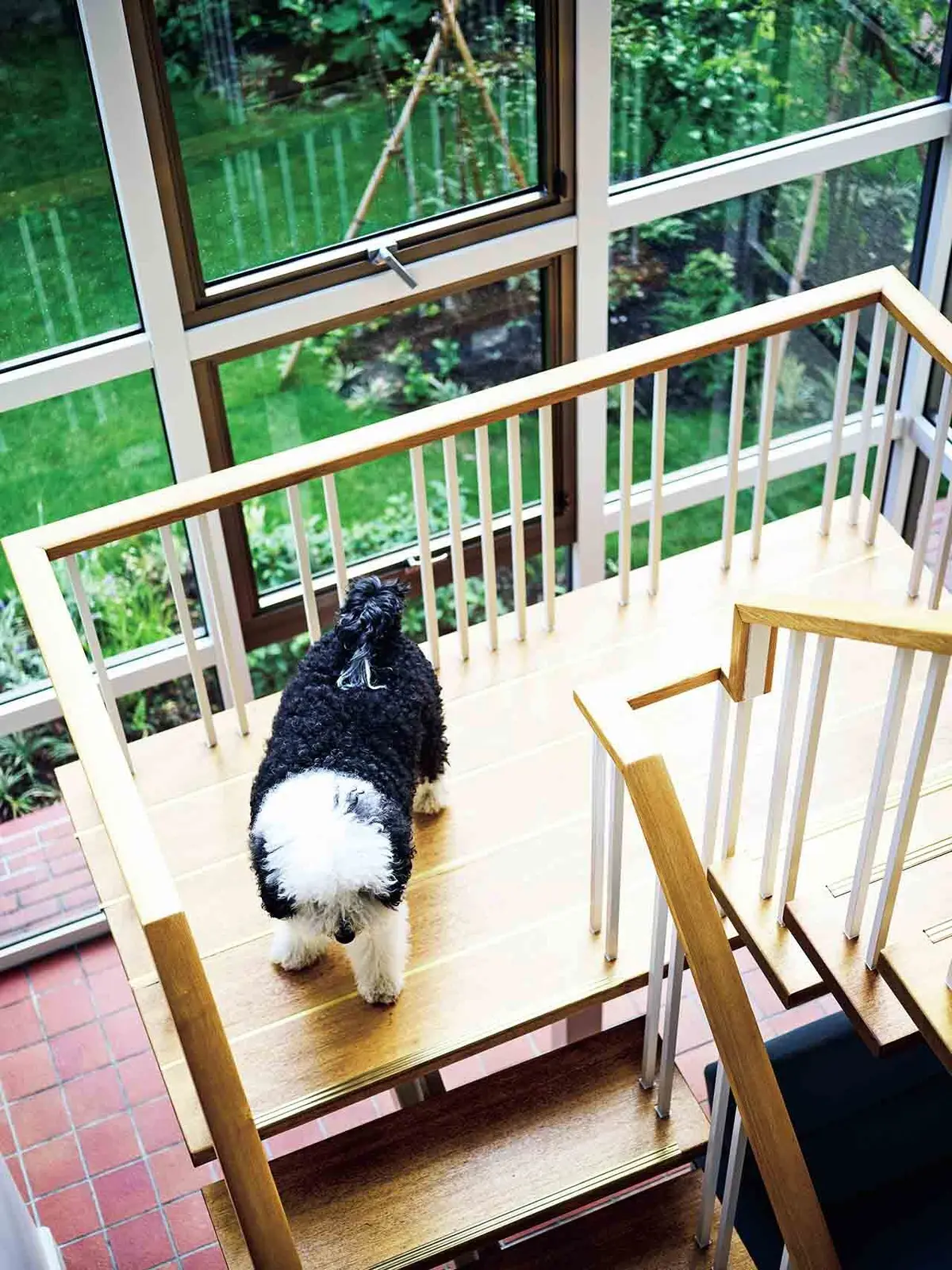 ❶玄関を入った正面、2つの大きなダイニングの 中央に、サンルームのようなガラス張りの吹き抜 けの階段ホール