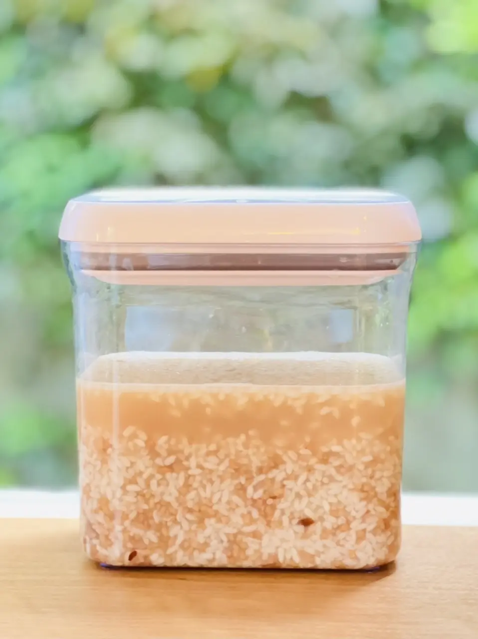 甘酒の出来上がり