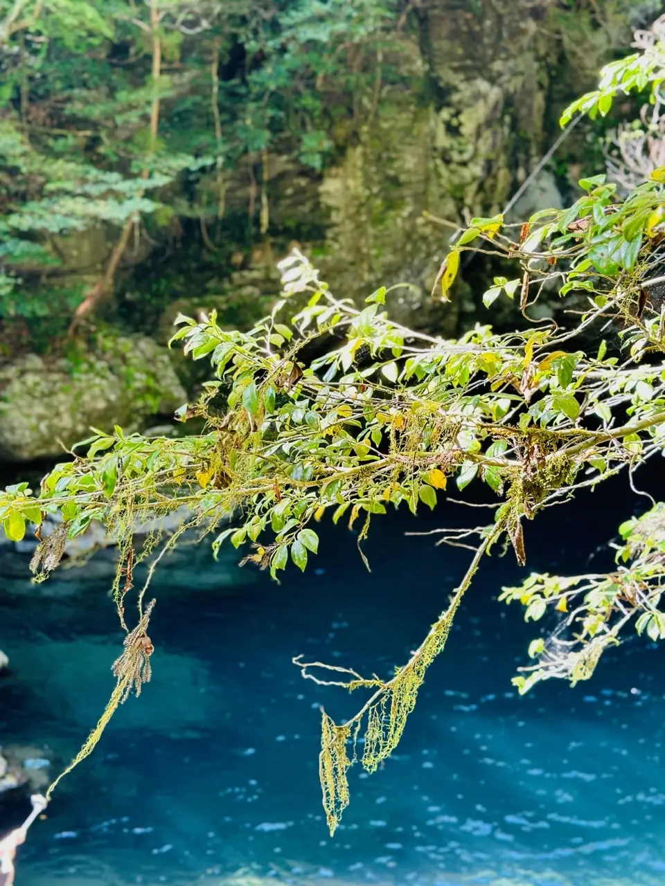 奇跡の清流（高知・仁淀川）へ、仁淀ブルーの画像_10