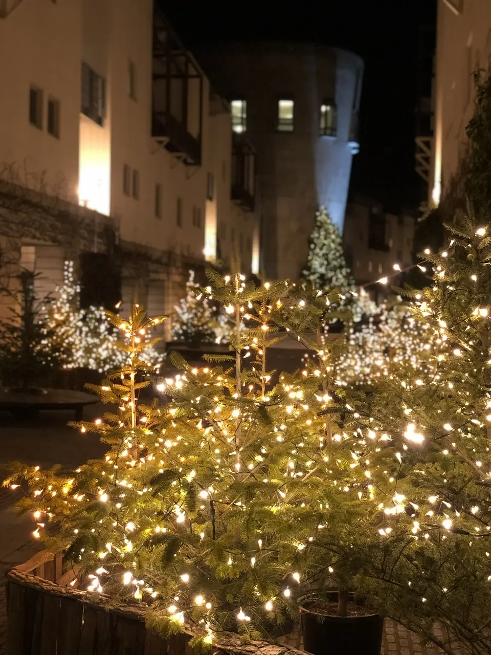 イルミネーション