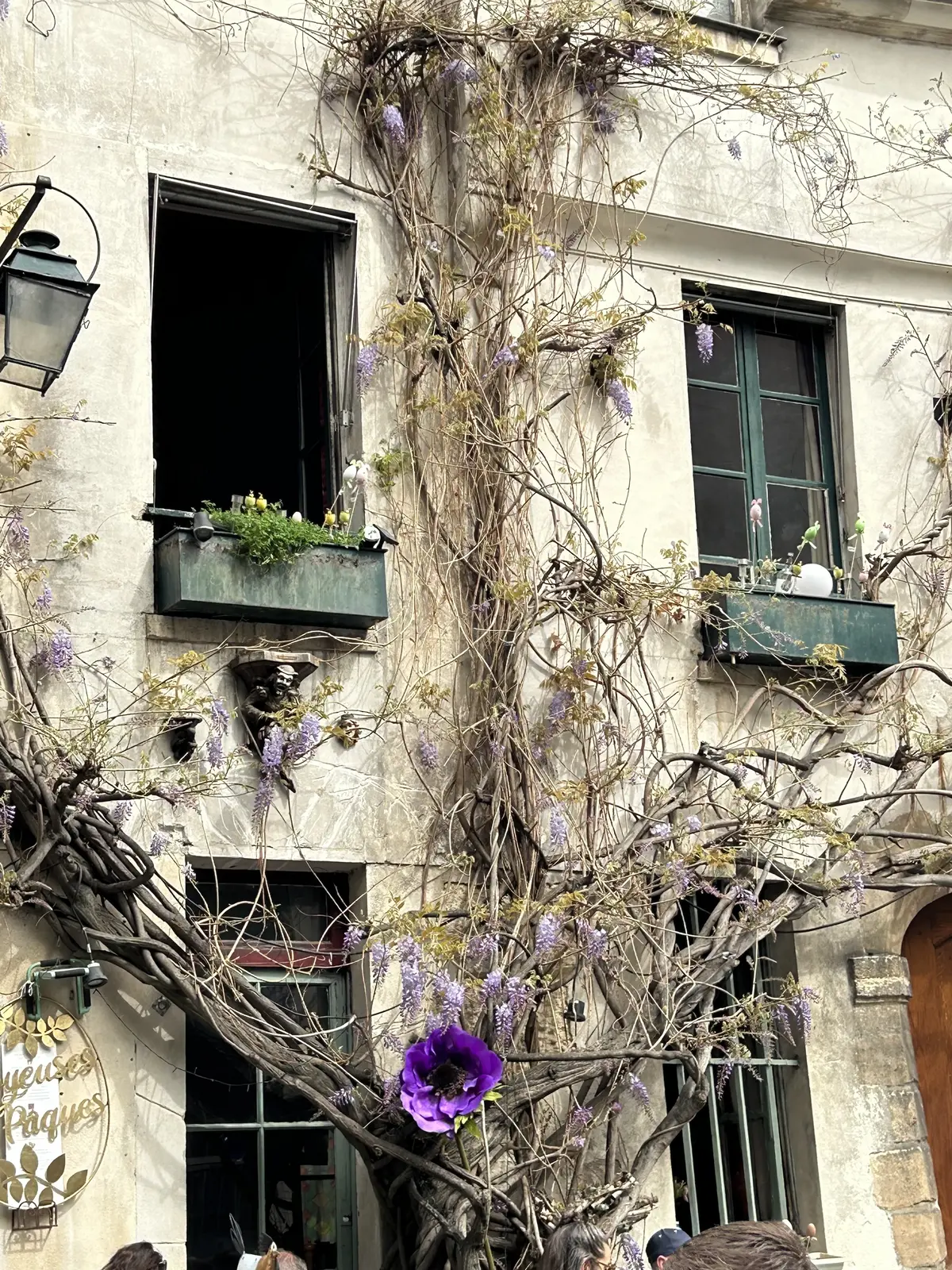 パリ　花カフェ　レストラン「Au Vieux Paris d'Arcole」