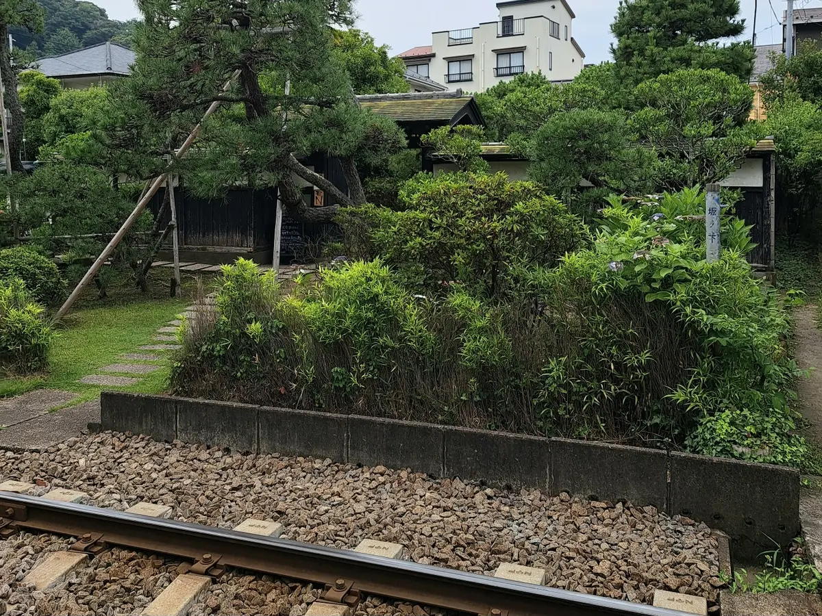 久しぶりの鎌倉 紫陽花鑑賞はお気に入りのの画像_8