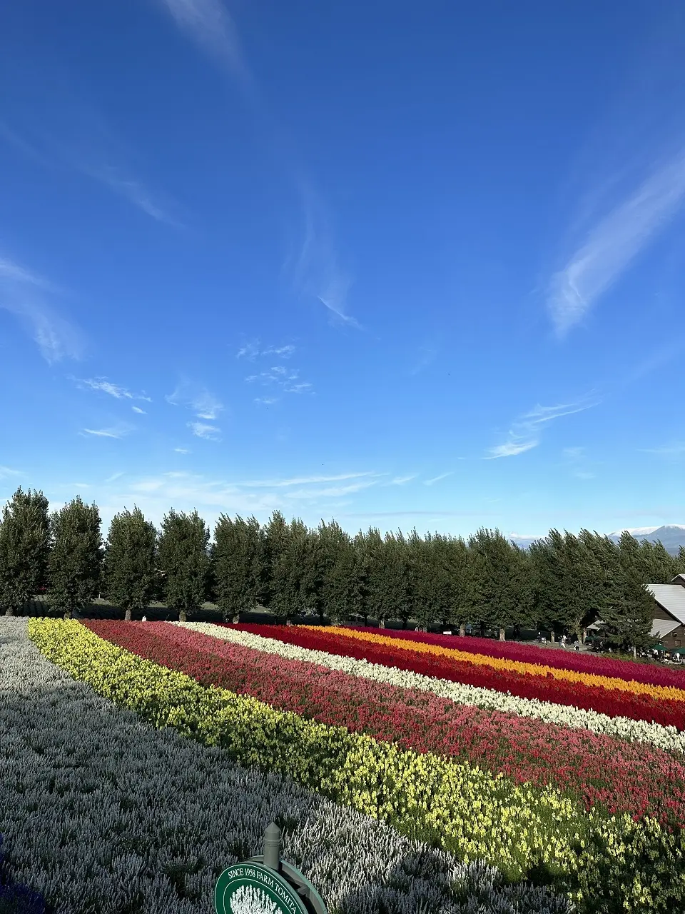 雄大な大地北海道へ行ってきました。の画像_4