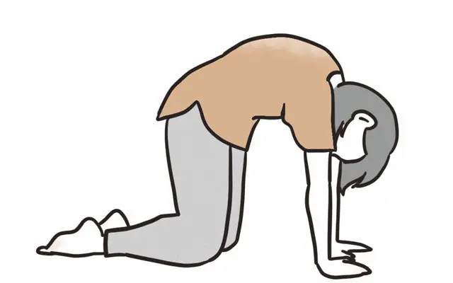 猫のポーズで胃をゆるめる！